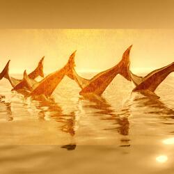 Gliding Through Turquoise Waters