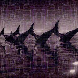 Reverberations of the Reef