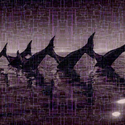 Reverberations of the Reef