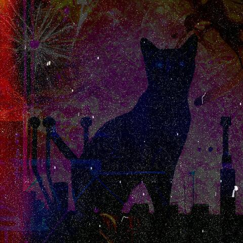 Cat Groove