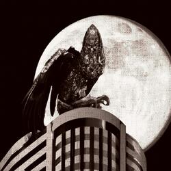 Hardstyle Beatdown in the City