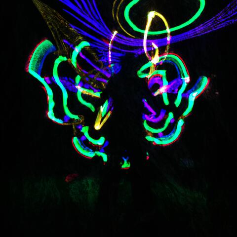 Electrified Grooves