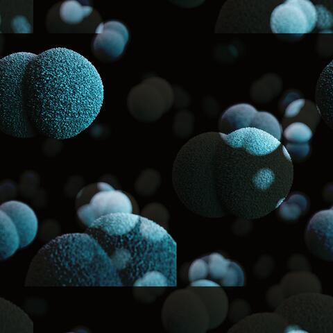 Sun Protection Factor