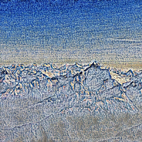 Springform Tin