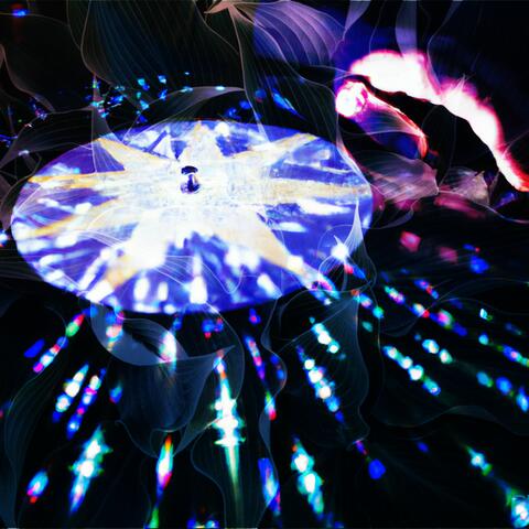 Meteorite Melody