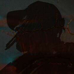 Fast Forwarding Fight