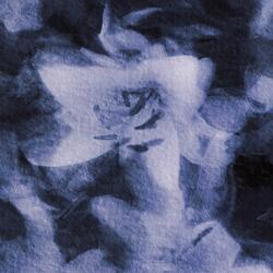 Hubble Telescope Views