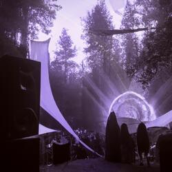 Wild Hardstyle