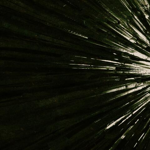 Steps Of Infinity