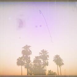Sunset Sessions