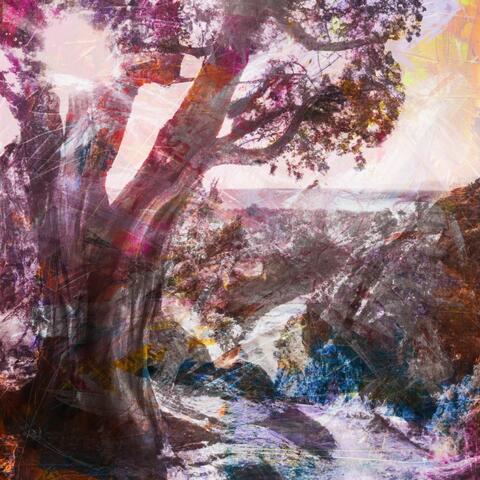 Natures Symphony
