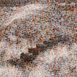 Galactic Mirages of Other Worlds