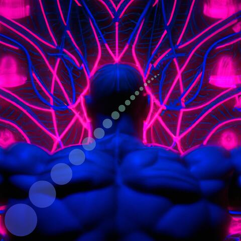 Quantum Dance Within the Multiverse