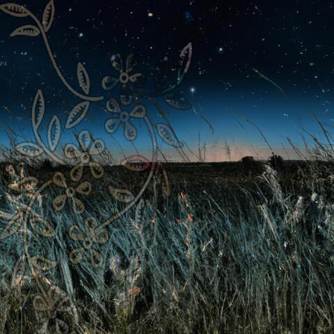 The Reflection of a Lullaby in the Moonlight