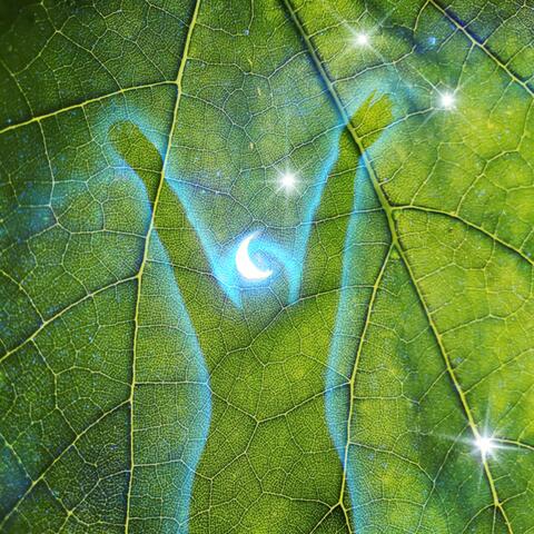 Celestial Dreams of Blissed Out Melodies