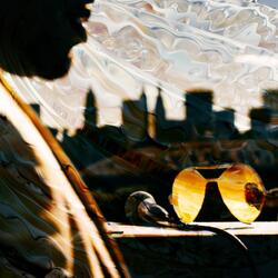 Concrete Jungle Chronicles