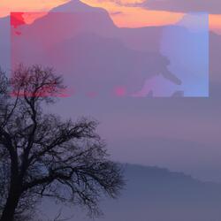 The Dawn of Awakening in the Mystic Mist