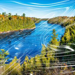 A Morning Song by the Riverside