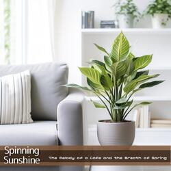 Urban Adventure Theme