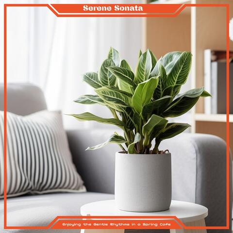 Enjoying the Gentle Rhythms in a Spring Cafe