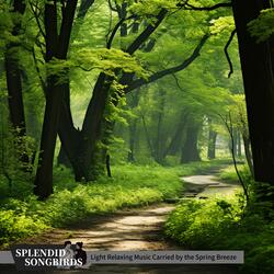 Daybreak Hues on the Veranda