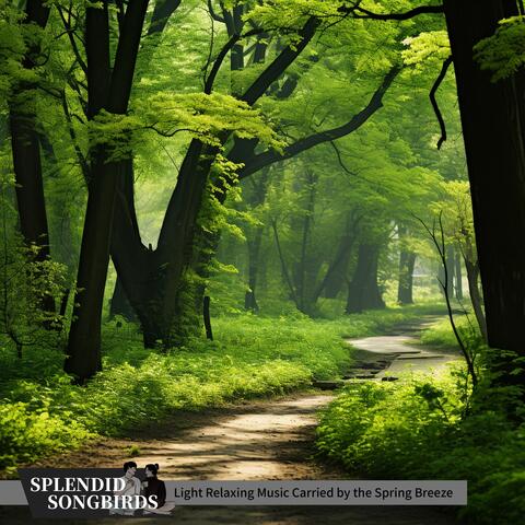 Light Relaxing Music Carried by the Spring Breeze
