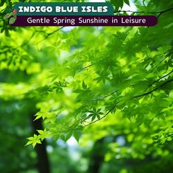 Colors of the New Season