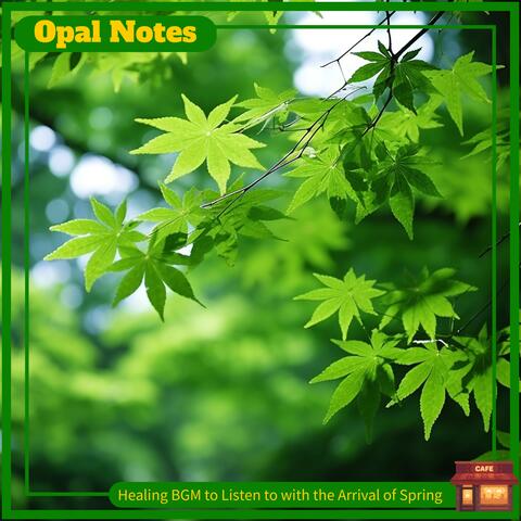 Healing BGM to Listen to with the Arrival of Spring