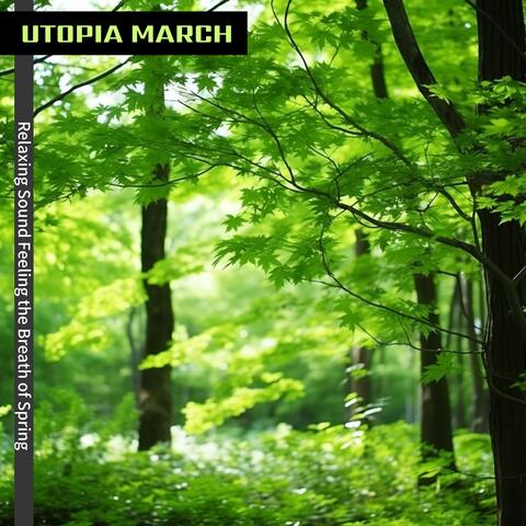 Relaxing Sound Feeling the Breath of Spring