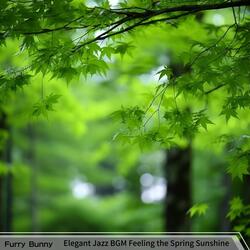 Calm Beginnings of Day