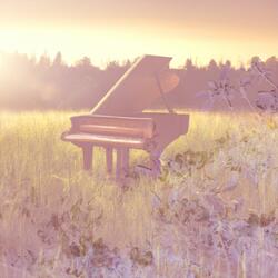 Piano Echoes in the Snow