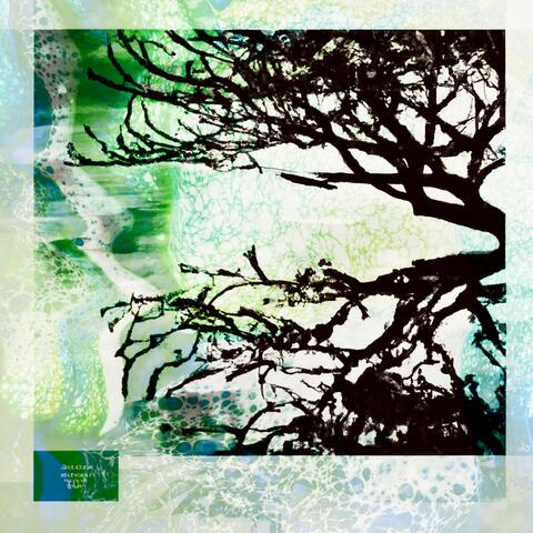 Voyage through the Vortex of Silence