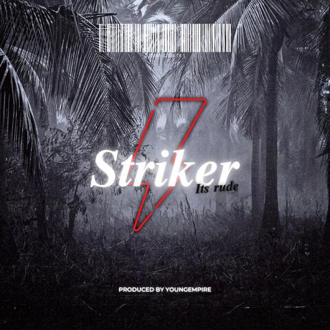 Striker