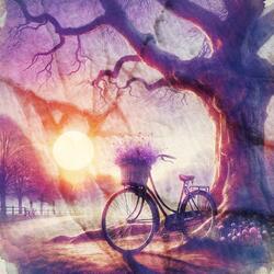 we pedal slow through memories