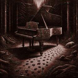 Serenade to the Forest Trails
