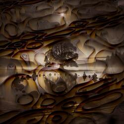 Waves of Tranquil Thoughts