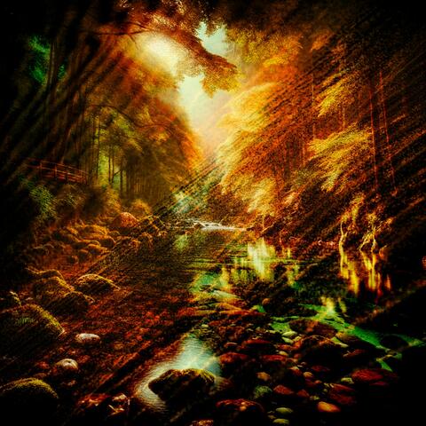 Silhouettes in the Sunset