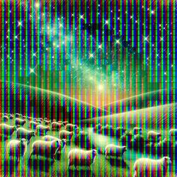 Dreaming in the Wool