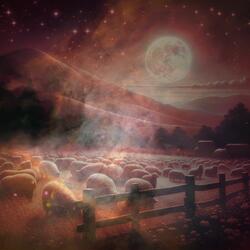 Pillows Full of Dreams