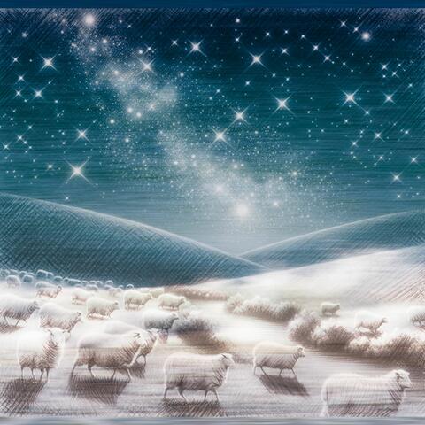 Woven into the Fabric of Night