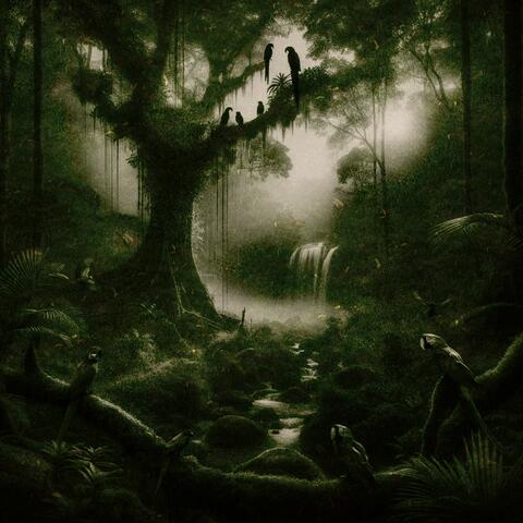 Whispers from the Wetlands