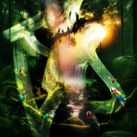 Borneos Rainy Ballet