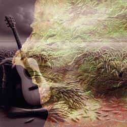 Echoes through the Barley