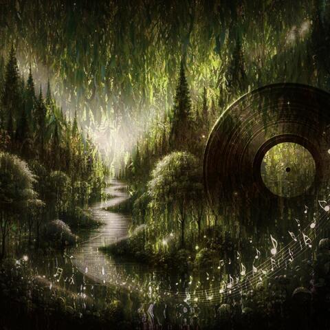 Echoes of Curiosity in the Forest