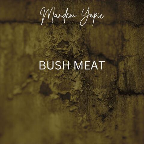 Bush Meat