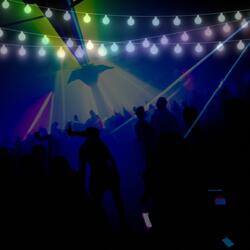 Bass Beats  Make a Move