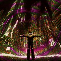 Suburban Vibes in a Jungle