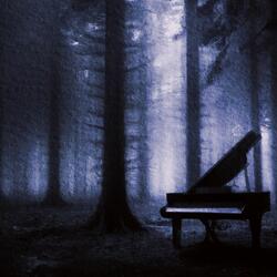 The Wistful Lament of a Winter Pianist