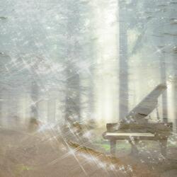 The Joyful Ascension of a Heavenly Sonata