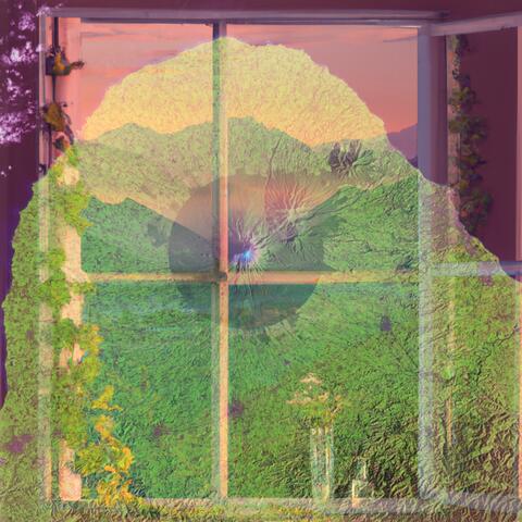 Downy Dusk Reveries